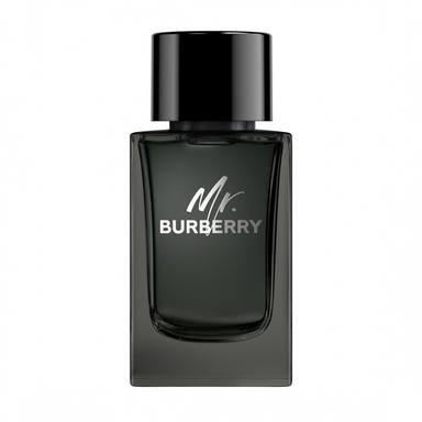 Mr. Burberry EAU DE PARFUM