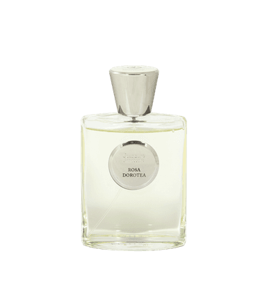 Rosa Dorotea EDP